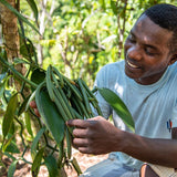 Vanilla Milk Chocolate | Dick Taylor