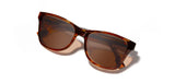 Canby XL Acetate Sunglasses | Bourbon + Elm Burl | Brown Polarized | Shwood