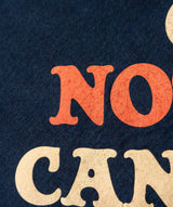 Pretty Good Not Bad I Can't Complain Camp Flag | John Prine x Oxford Pennant