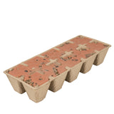 Firestarters | Whiskey & Tobacco | Northern Lights