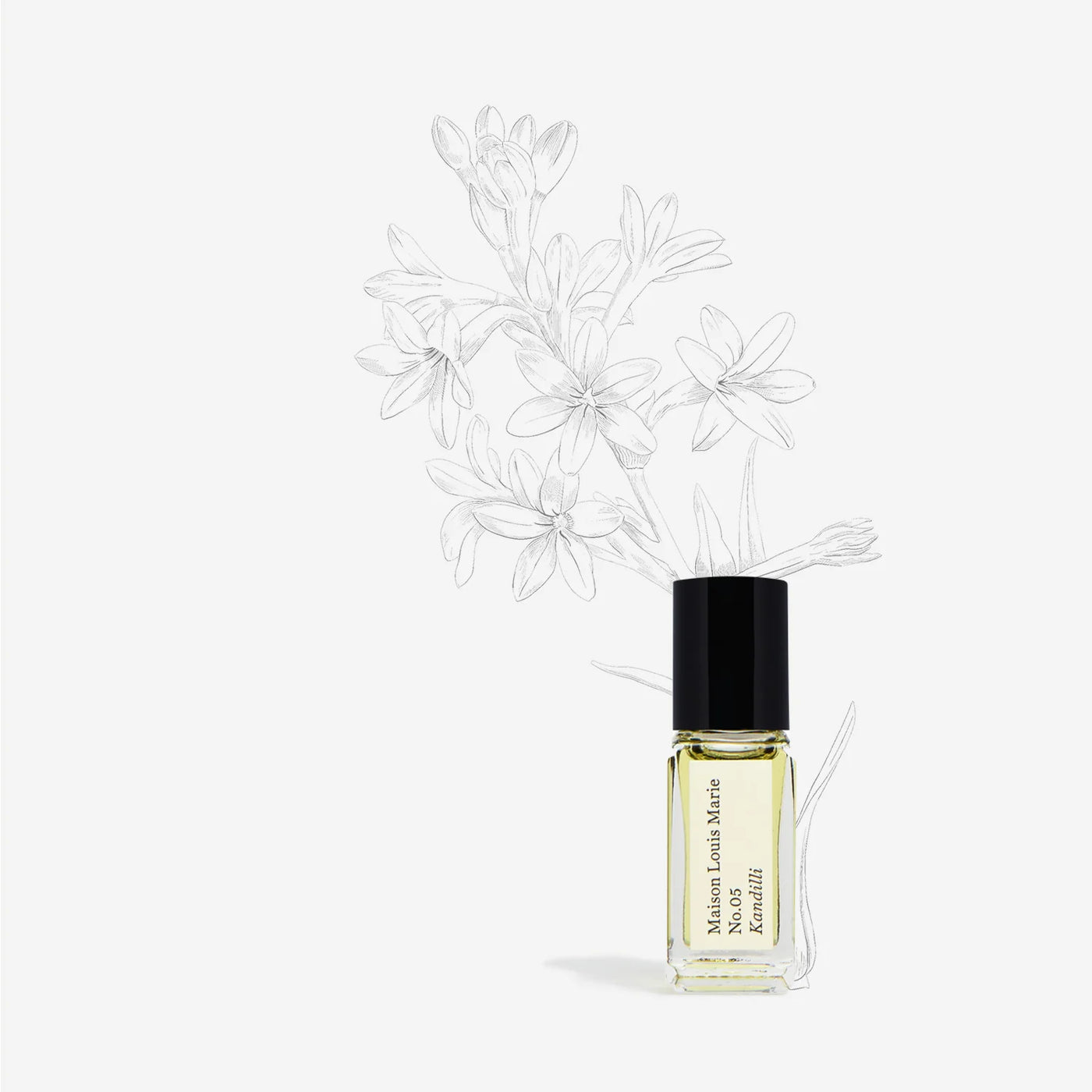 Sample Perfume Oil | Maison Louis Marie – Manready Mercantile