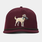 Yellow Lab Hat | Carmine | Duck Camp