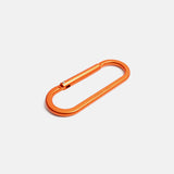 Carabiner | Turtlebox Speakers