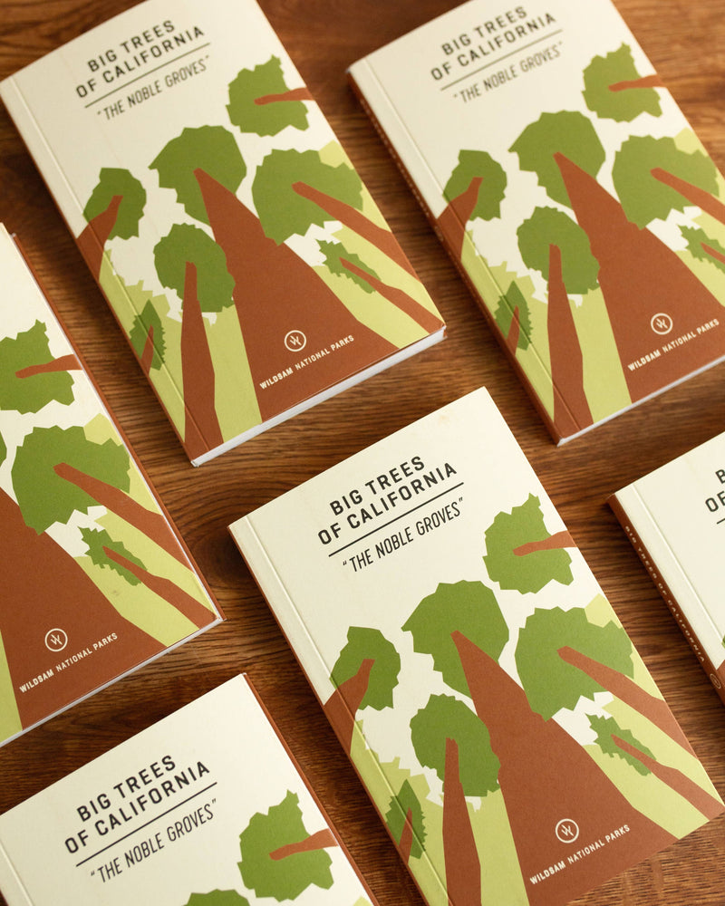 Big Trees of California | Wildsam Field Guides