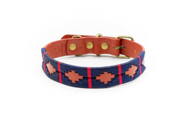 Dog Collar | Nautico | Macondo Belts