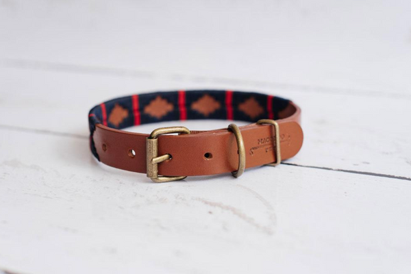 Dog Collar | Nautico | Macondo Belts